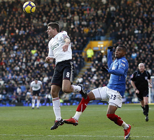 那的象征 那的象征