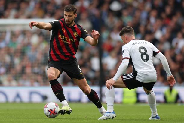 菲尔米诺 菲尔米诺